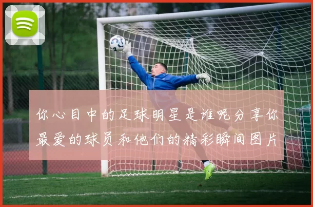 你心目中的足球明星是谁呢分享你最爱的球员和他们的精彩瞬间图片