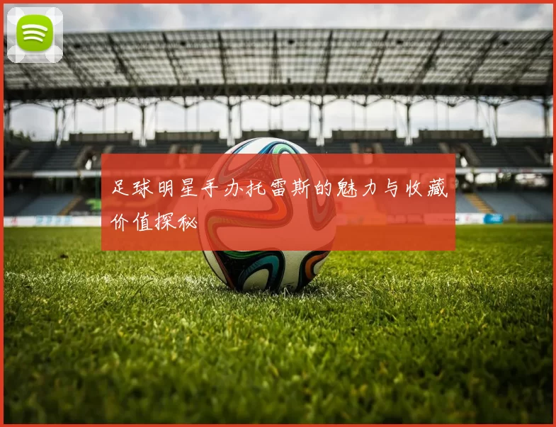 足球明星手办托雷斯的魅力与收藏价值探秘