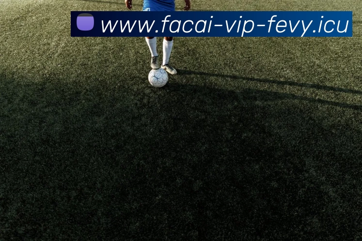 星空体育服务体系